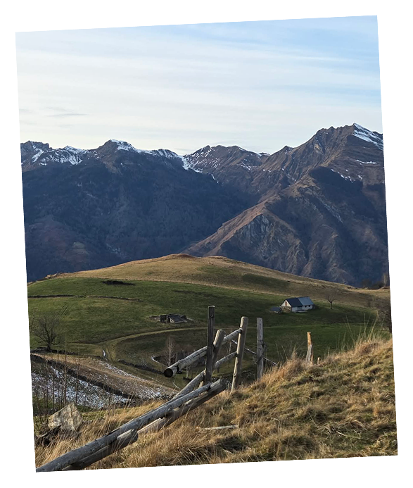 Traiteur entreprise Pays Basque Mendi Berdea