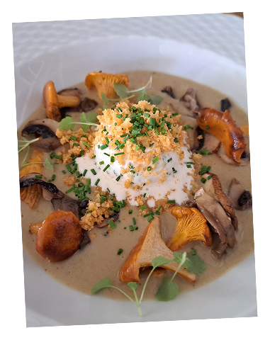 Traiteur et restaurant au cœur du Pays Basque